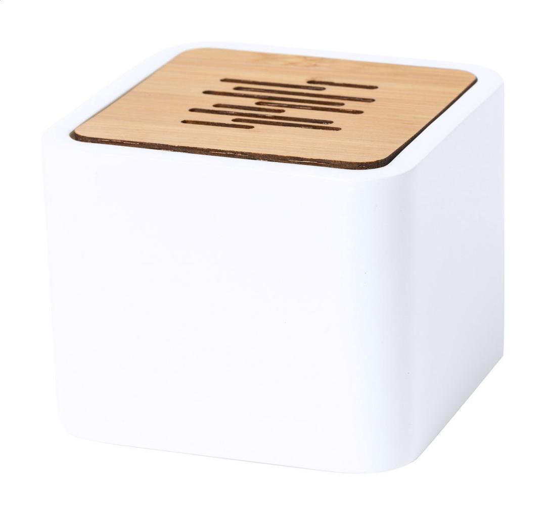 Haut-parleur sans fil PLA