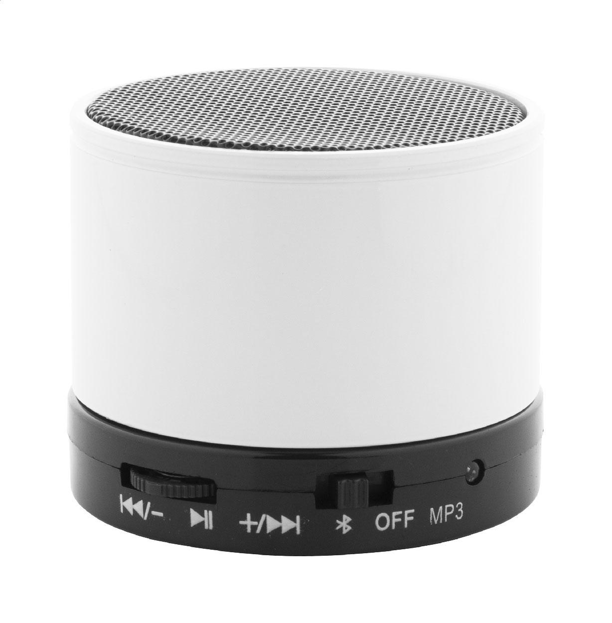 haut-parleur sans fil