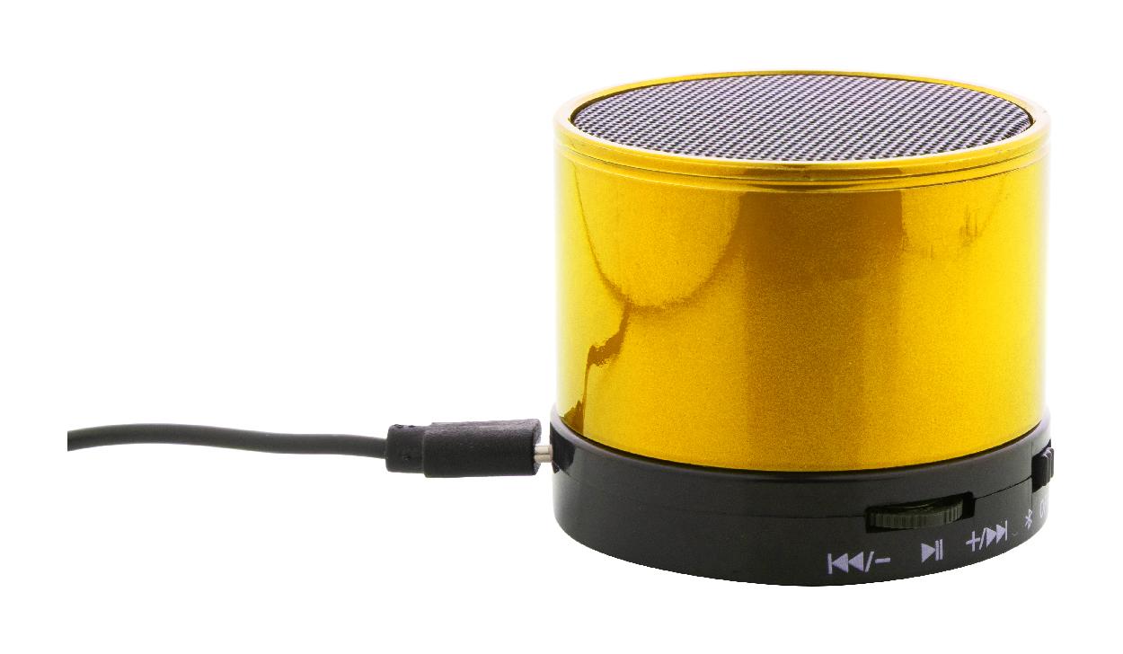 haut-parleur sans fil