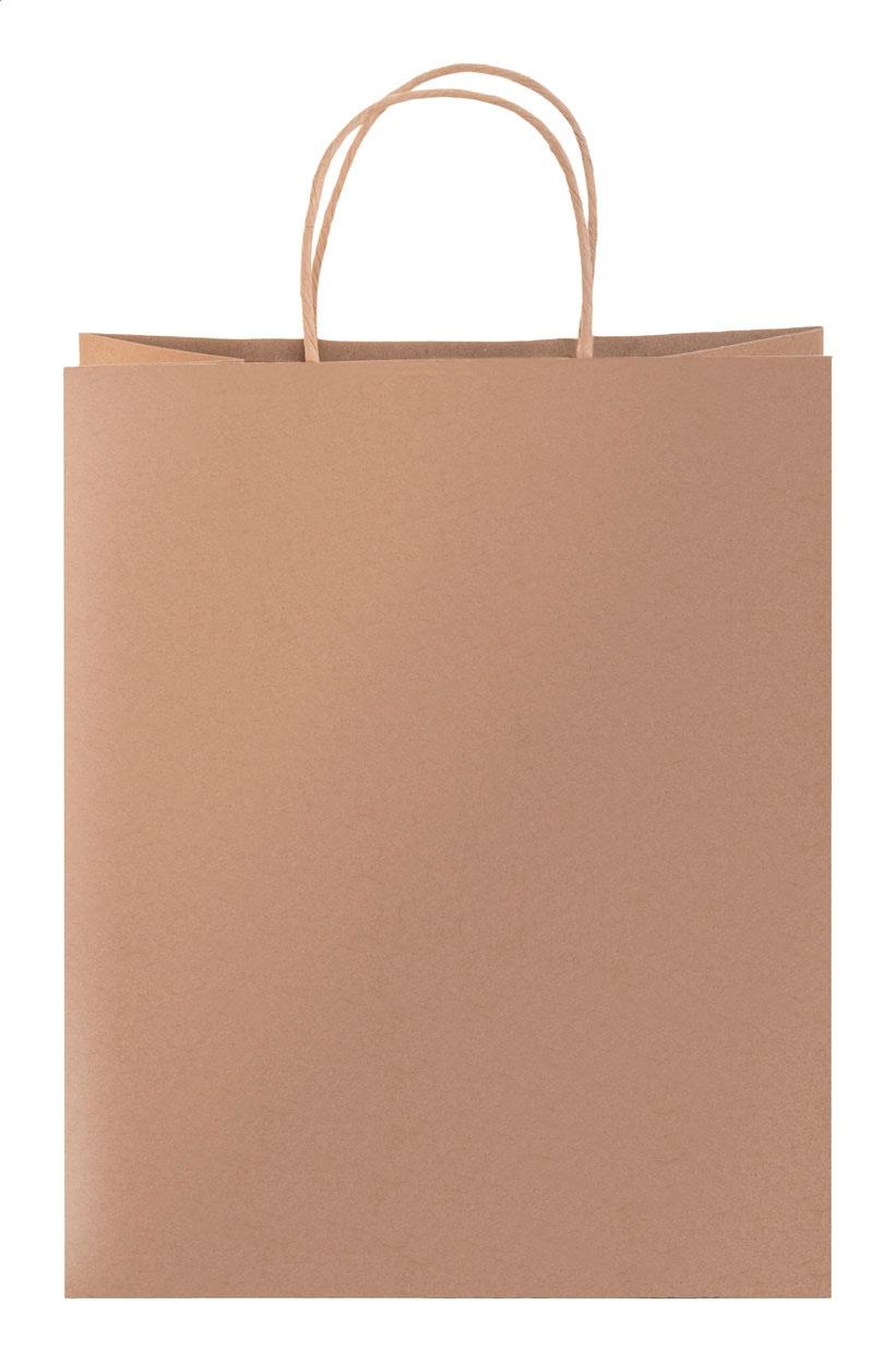 sac cadeau Noël, grand