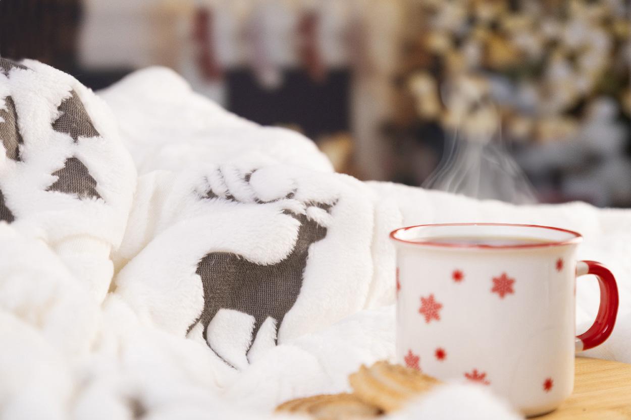 Couverture de Noël RPET