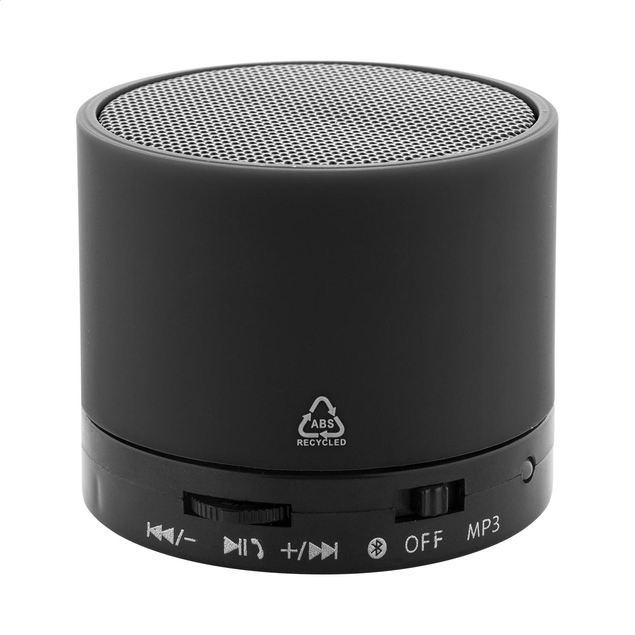 Enceinte sans fil RABS